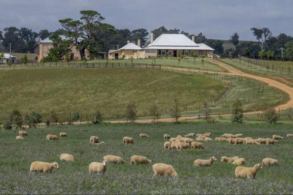 macquariefarm4
