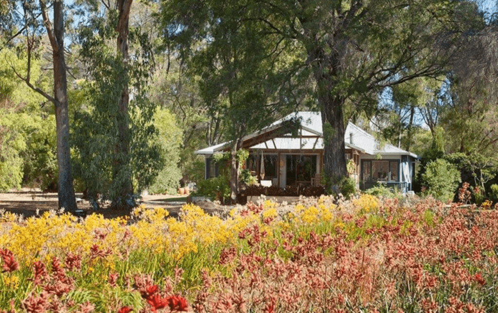 dunborough-flower-farm