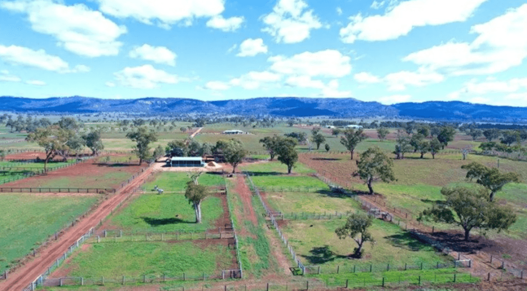 scone-mare-farm