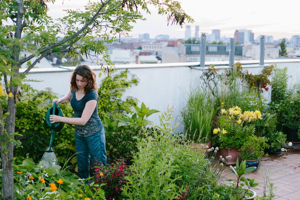 Rooftop_gardens_mm20aa