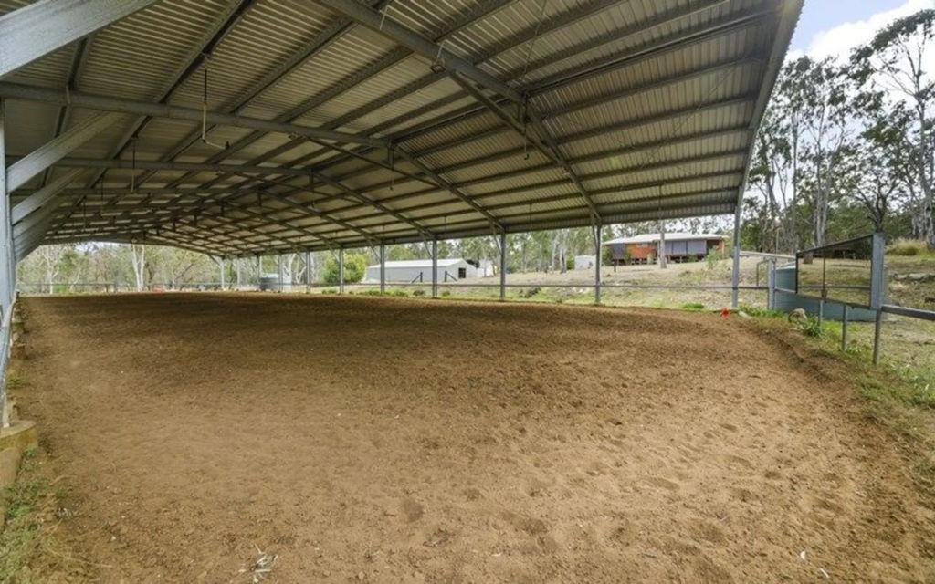 horsestuds