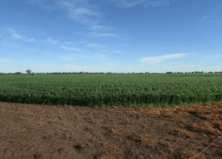 5 cheap rural blocks of land on the market right now