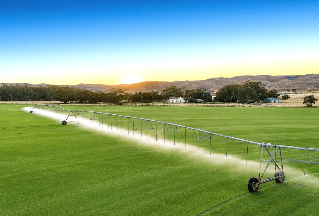 The grass is greener at profitable South Australian turf farm