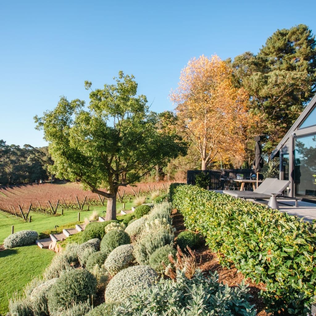 Curated gardens and mature trees with a vineyard in the background are seen from a luxury vila.