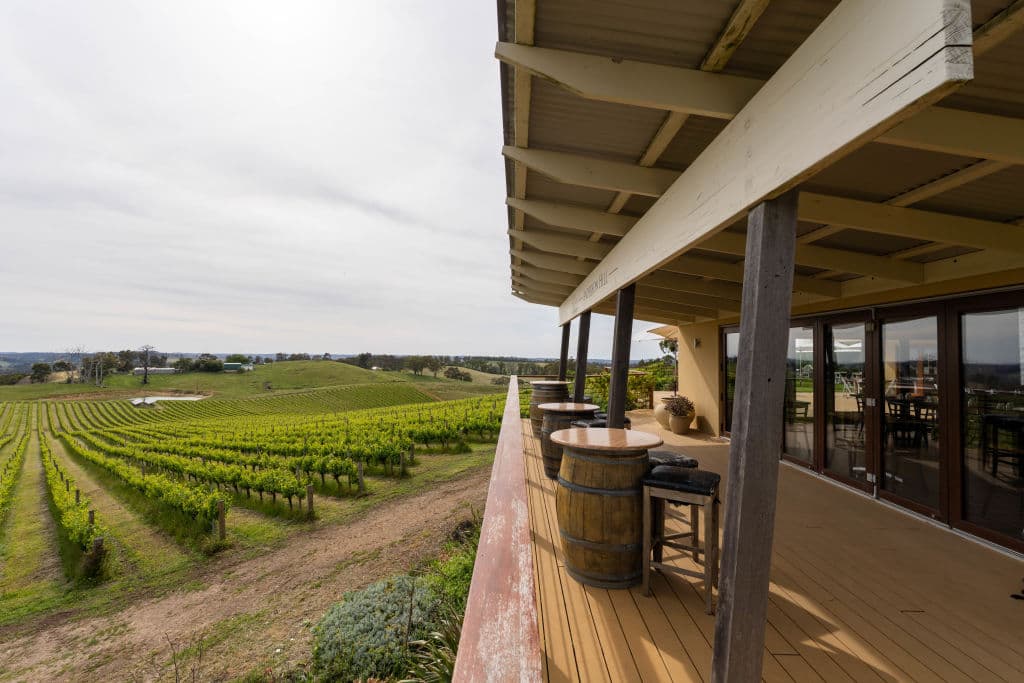 Cellar door, vineyard