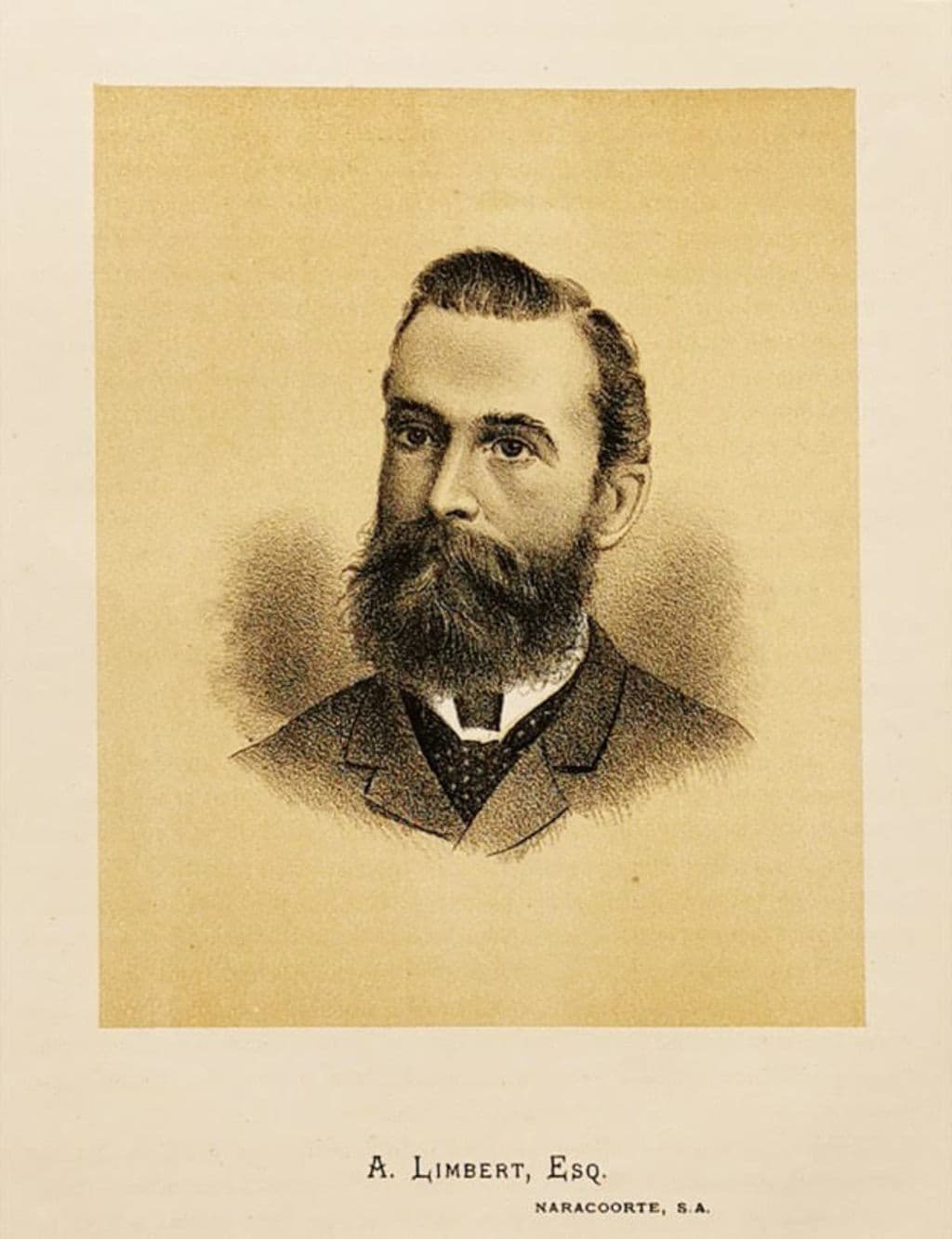 Man, portrait, old