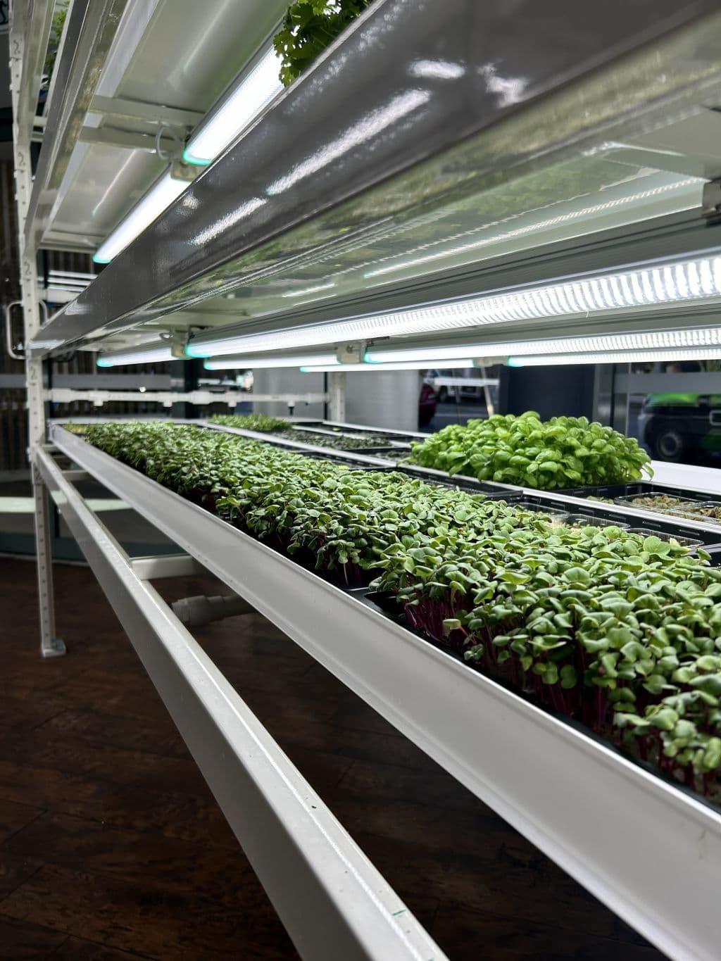The Amora Hotel Brisbane now has a farm, producing microgreens, herbs and natives, where its cafe was once.