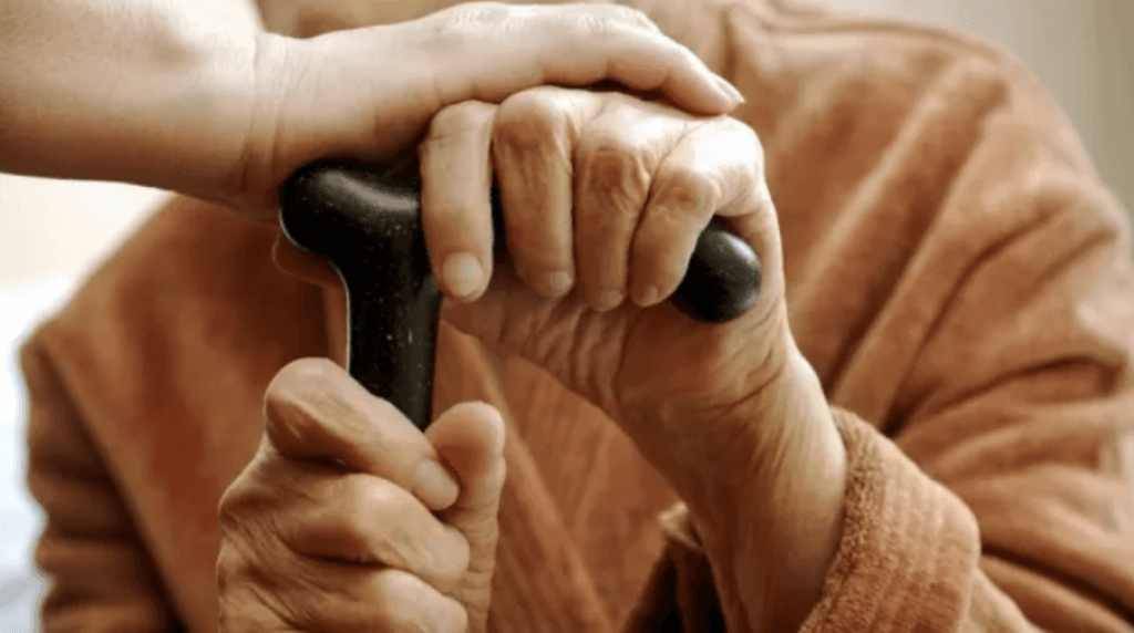 Australia's aging population and rising household incomes will see services take a bigger place in the economy.