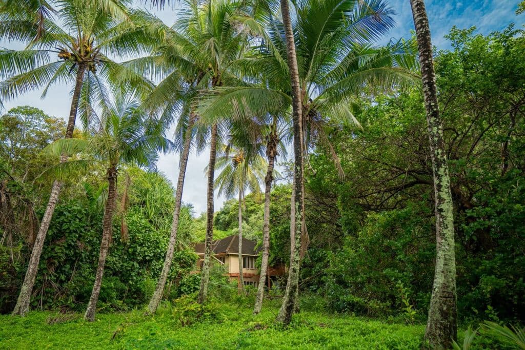 Double Island Palm Cove QLD 4879