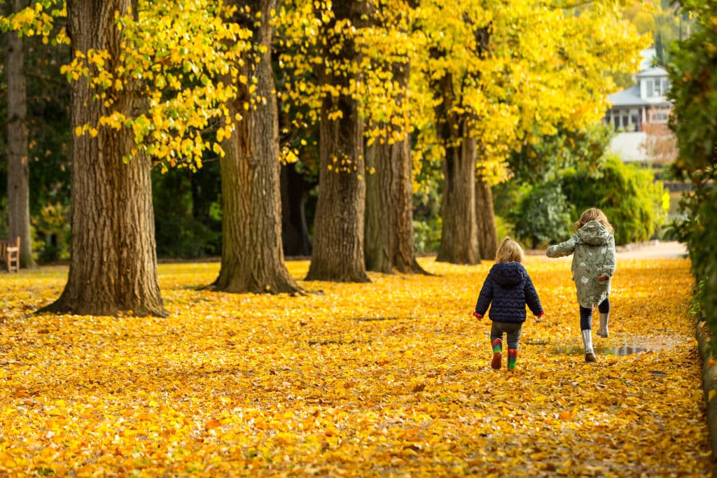 The Albury Botanic Gardens in Autumn.