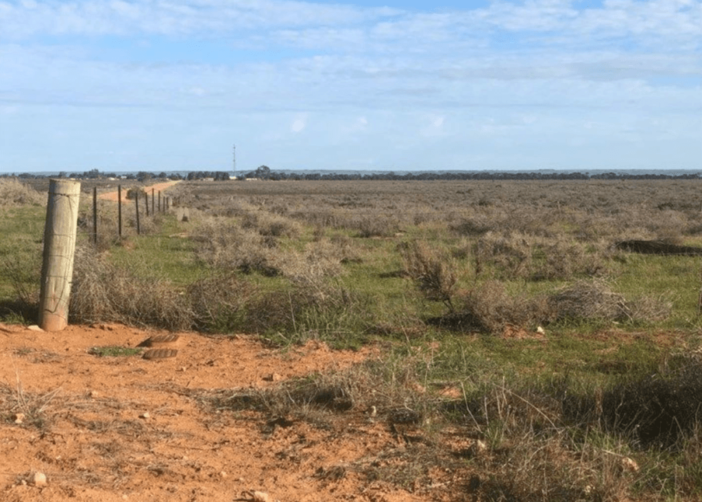 port-wakefield-circuit-present