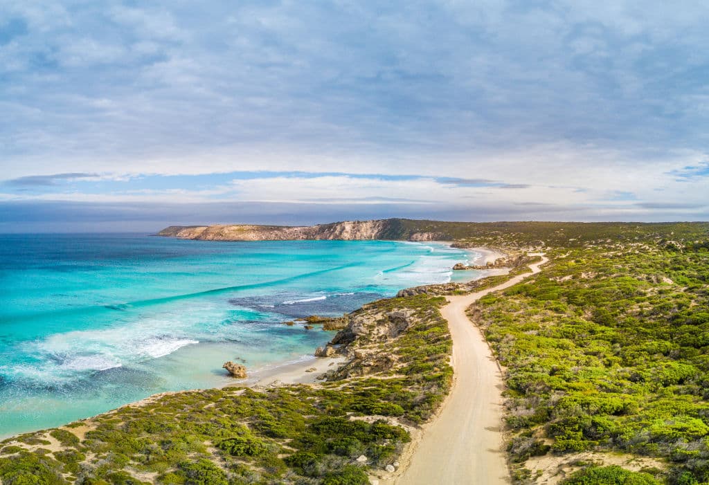 Domain Bushfires - Kangaroo Island