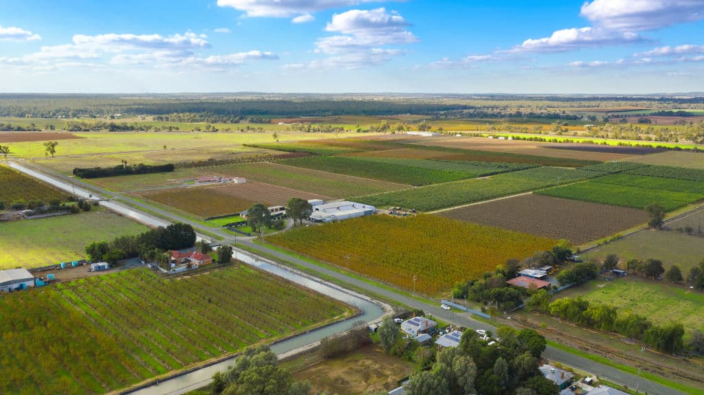 rural2020-coverstory