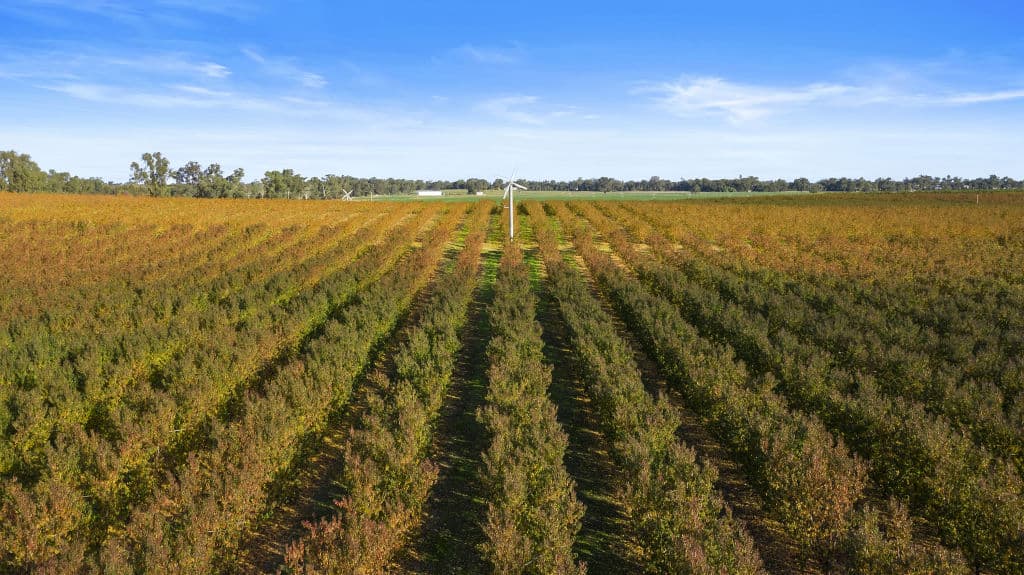 rural2020-coverstory