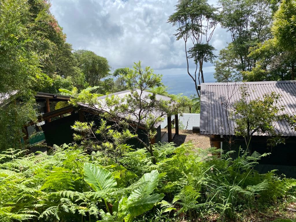 Binna_Burra_safari_tents_were_refurbished_after_the_fire_-_photo_by_Cath_Johnsen_kbyux5