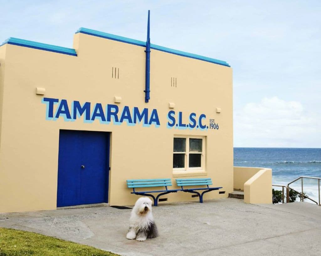 Insta_worthy_perhaps_but_a_standout_in_the_setting_the_look_of_Tamarama_SLSC_is_changing._Photo_Dulux_acugdq