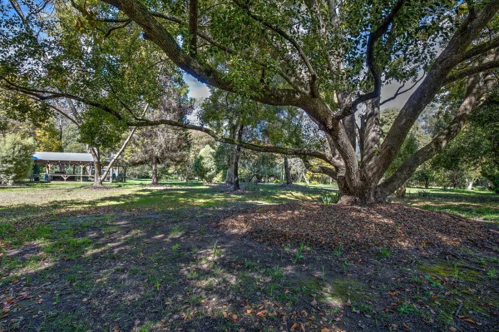 DICKENS_The_Place_Gardens_f90qrp