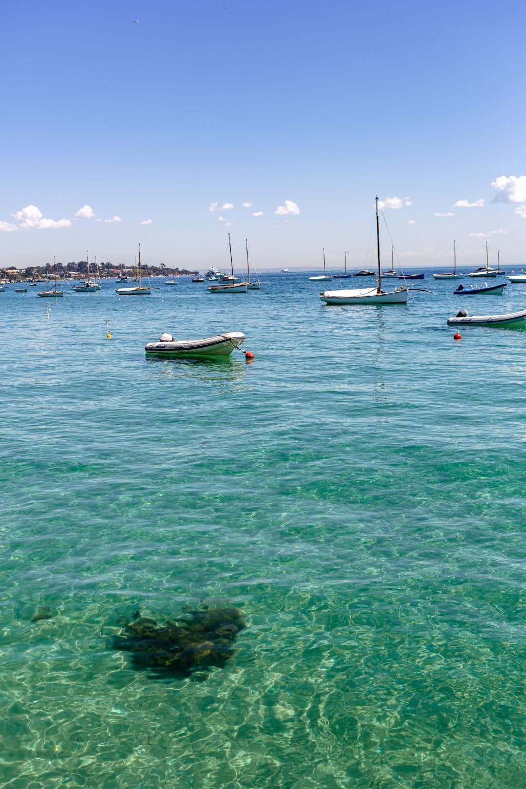 Calm waters await at Sorrento, a playground for Melbourne's well-heeled. Photo: Greg Briggs