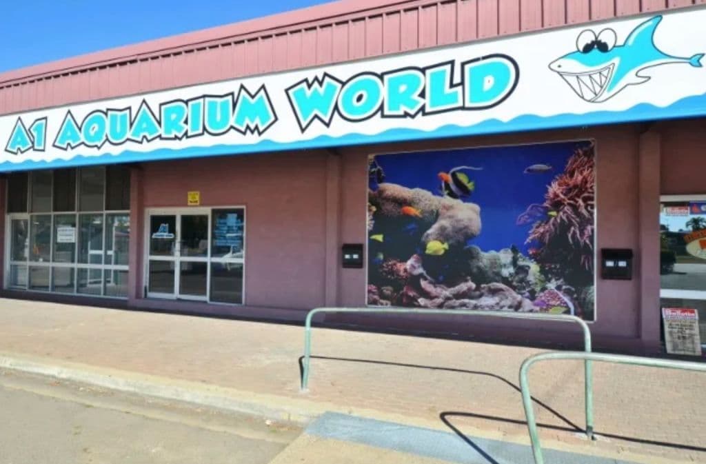 Screen_Shot_2022-02-01_at_1.55.01_pm_rd47uu