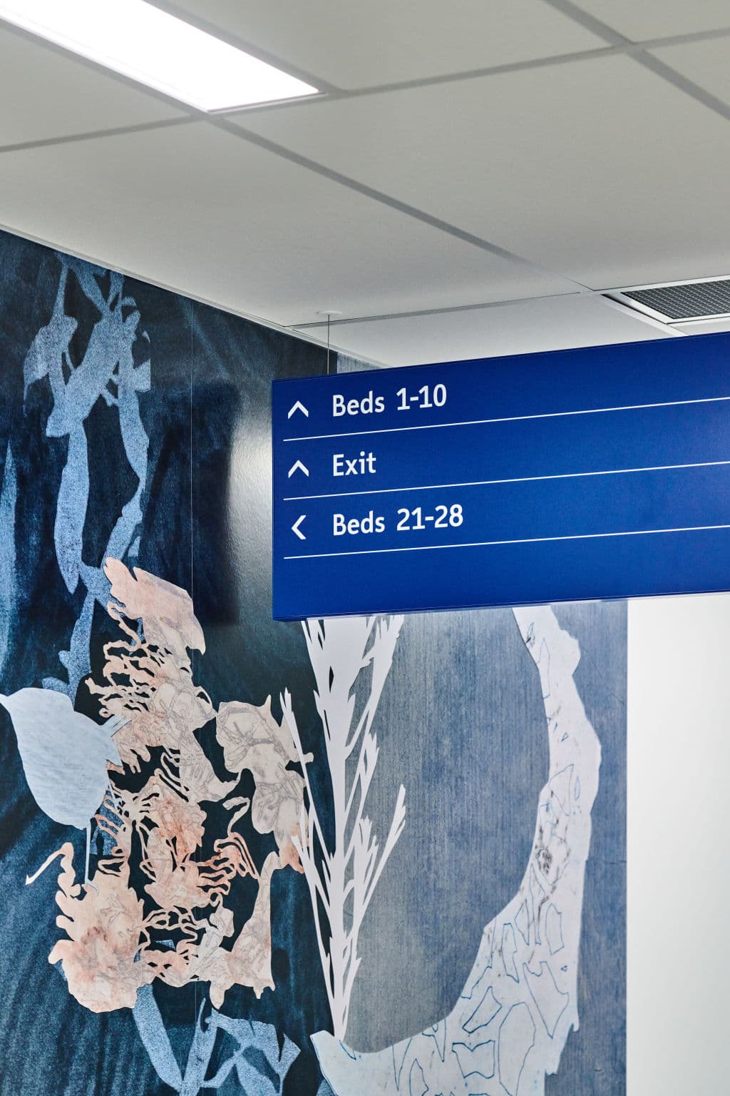 Nepean_Hospital_Stage_1._Designed_by_BVN_Architecture._Photo_courtesy_Health_Infrastructure_NSW_2_qvtlx4