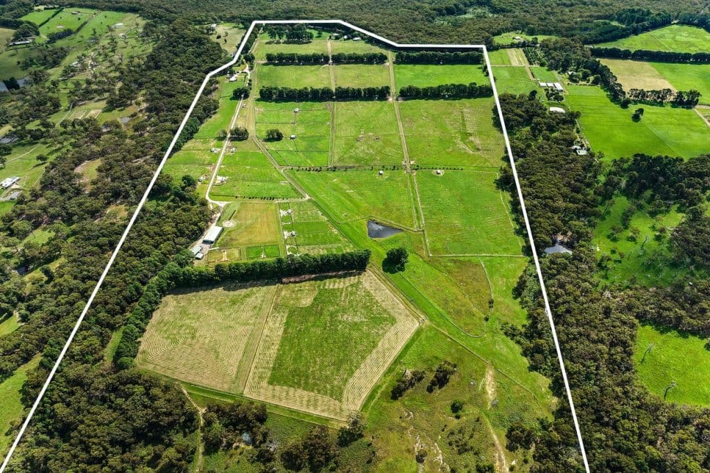 The_unusually_large_Tartan_Fields_stud_in_the_Central_Coast_hinterland_is_attracting_much_racing_industry_interest._Photo_Stone_Wyong_somefc