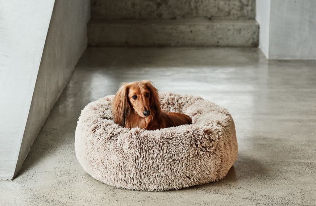 Snooza pet bed