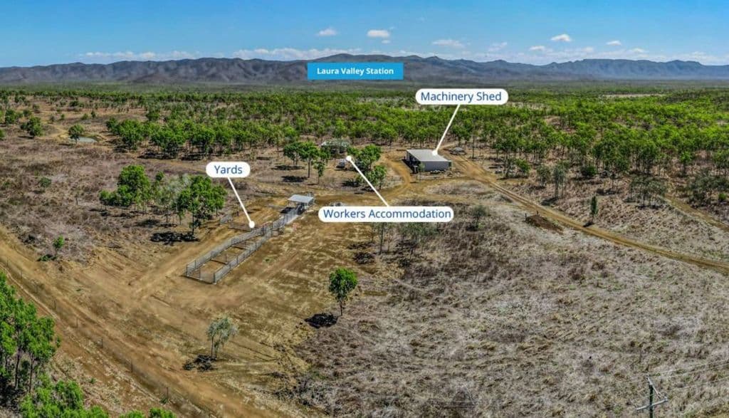 THe_Laura_Valley_station_is_out_in_serious_cattle_country._Photo_Colliers_i6jvrc