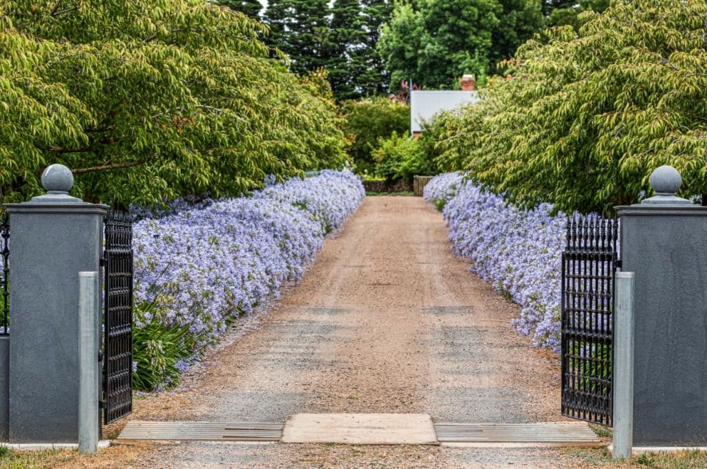 Screenshot_2023-02-09_at_2.35.44_pm_k1w550