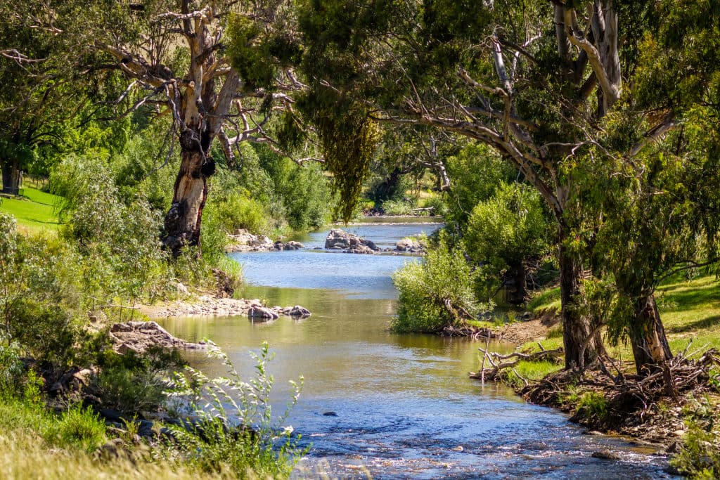 Elm_Cottage_Jan_2019_34-1_wkpwjm