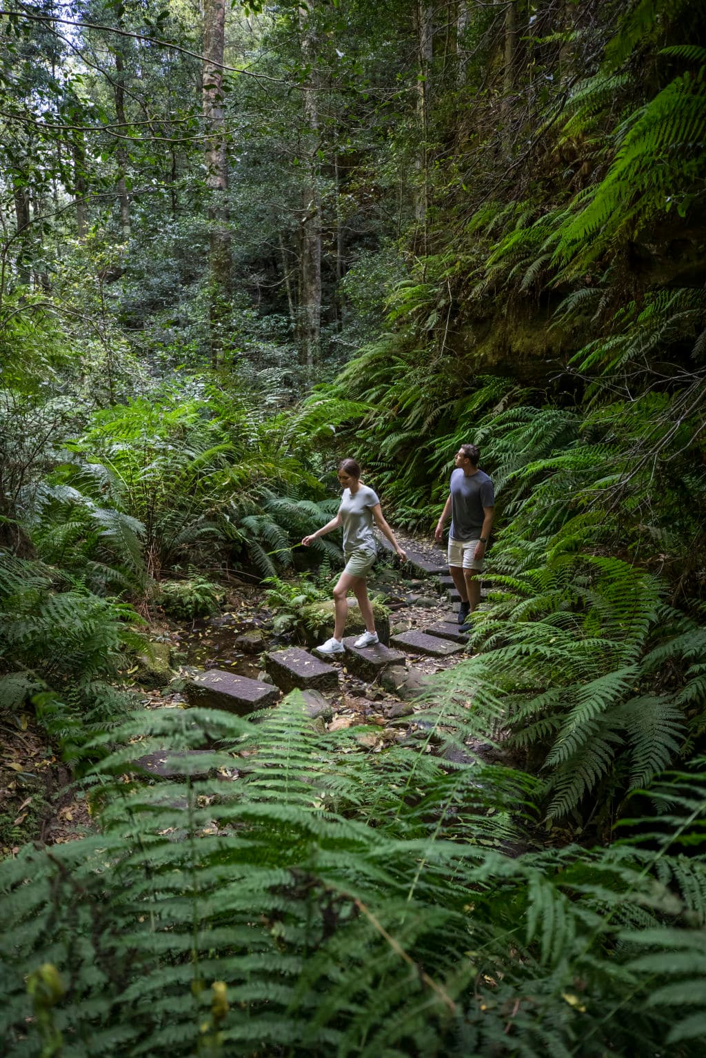 Grand Canyon Walking Track, Blackheath