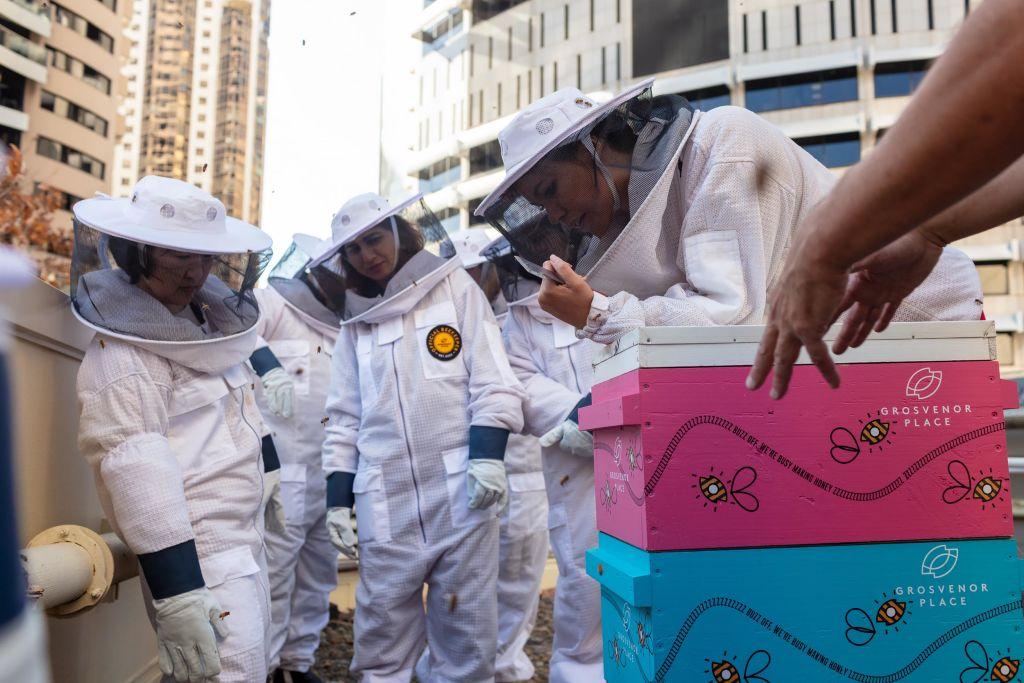 Staff can don beekeeper suits during their lunch break to visit the 60,000 rooftop bees. Photo: Supplied