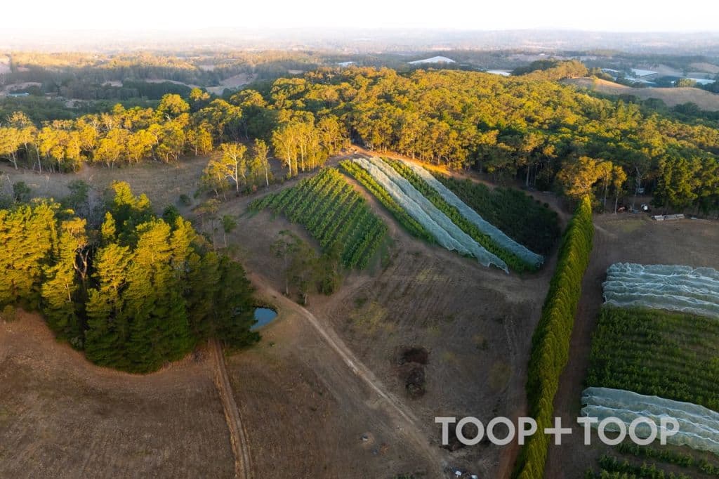 https___bucket-api.domain.com-3_vehq9z