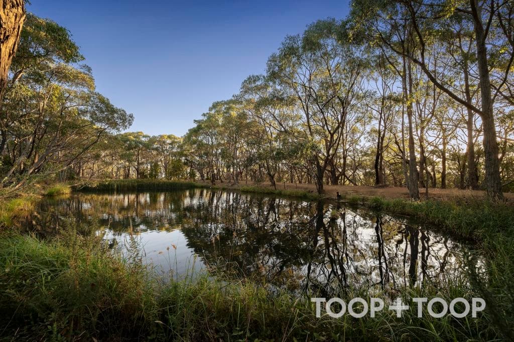 https___bucket-api.domain.com_vsn1hm