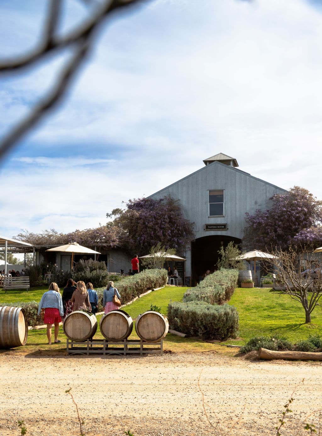 Lowe Family Wine Co, Mudgee Photo: Destination NSW