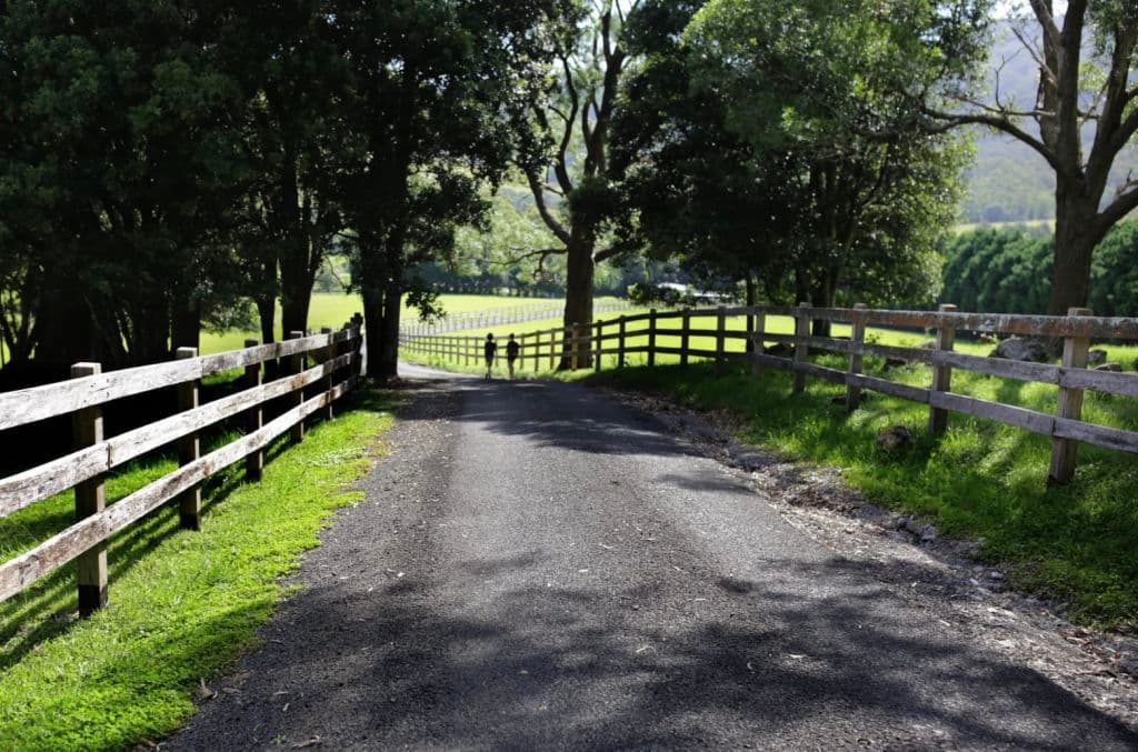 Screen_Shot_2025-10-10_at_4.02.53_pm_wrhjzy