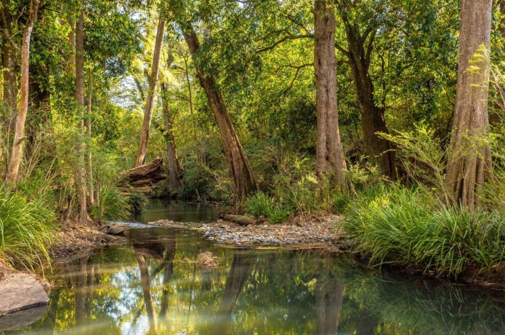 84 Kings Creek Road Krambach NSW 2429