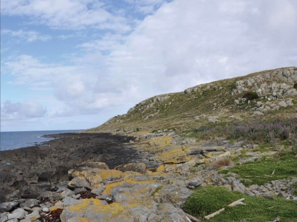 Screen_Shot_2025-10-14_at_11.55.36_am_i1heu6