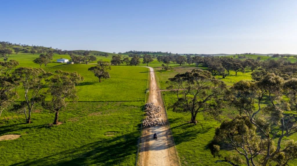 Anlaby Station 829 Anlaby Road Hamilton SA 5373