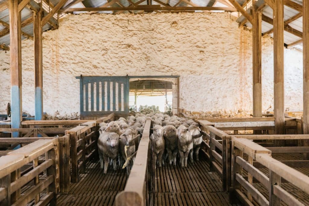 Anlaby Station 829 Anlaby Road Hamilton SA 5373