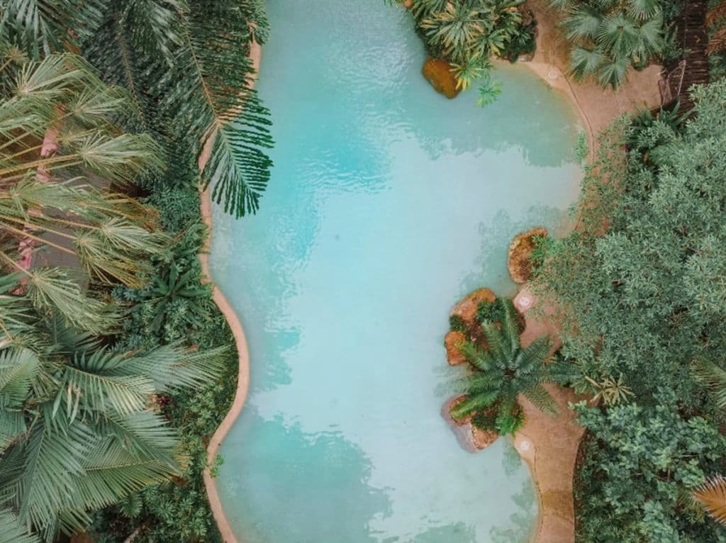 36 Camelot Close, Cape Tribulation QLD 4873