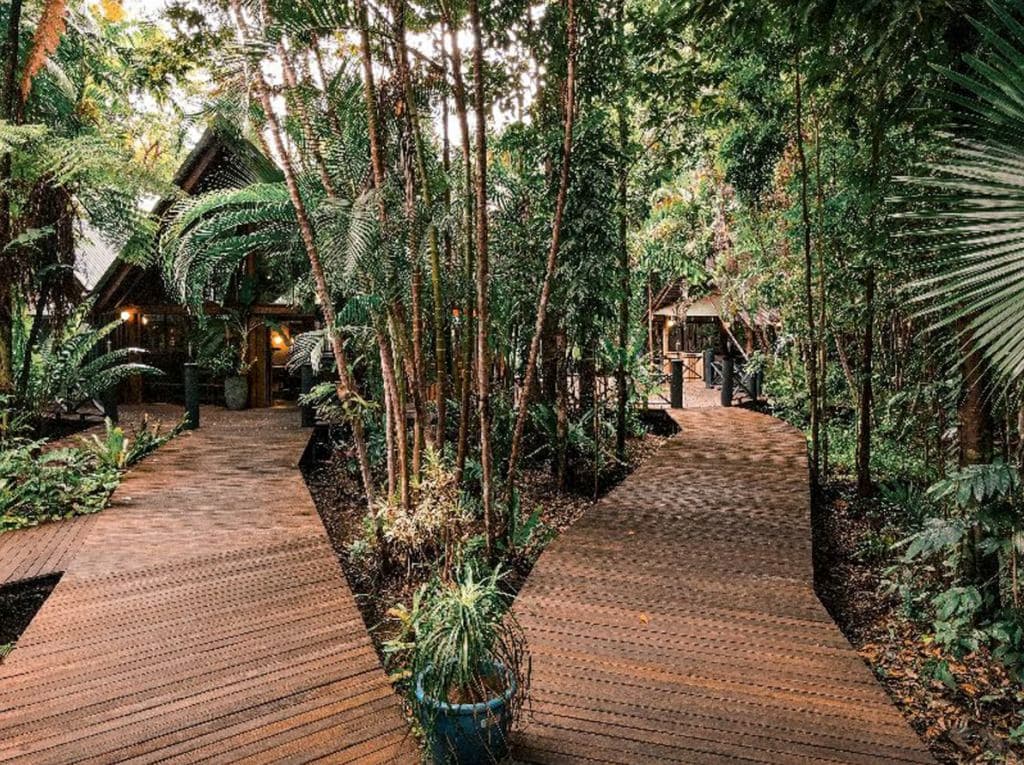 36 Camelot Close, Cape Tribulation QLD 4873