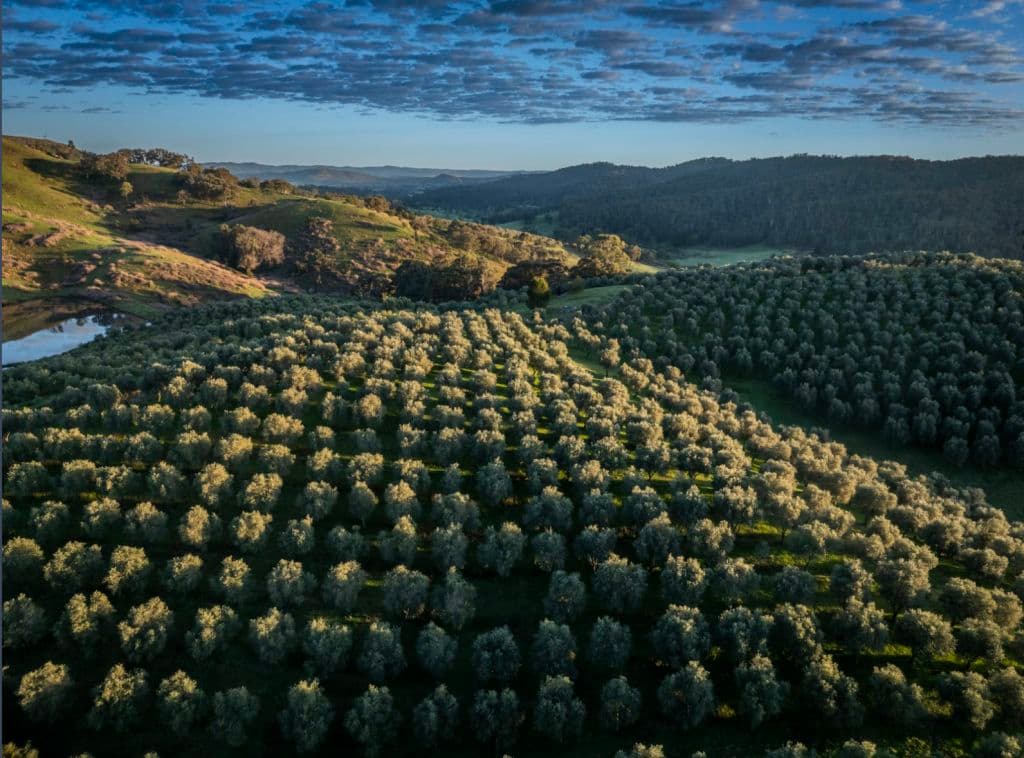 Screenshot_2025-10-28_at_12.00.50_pm_av7cjc