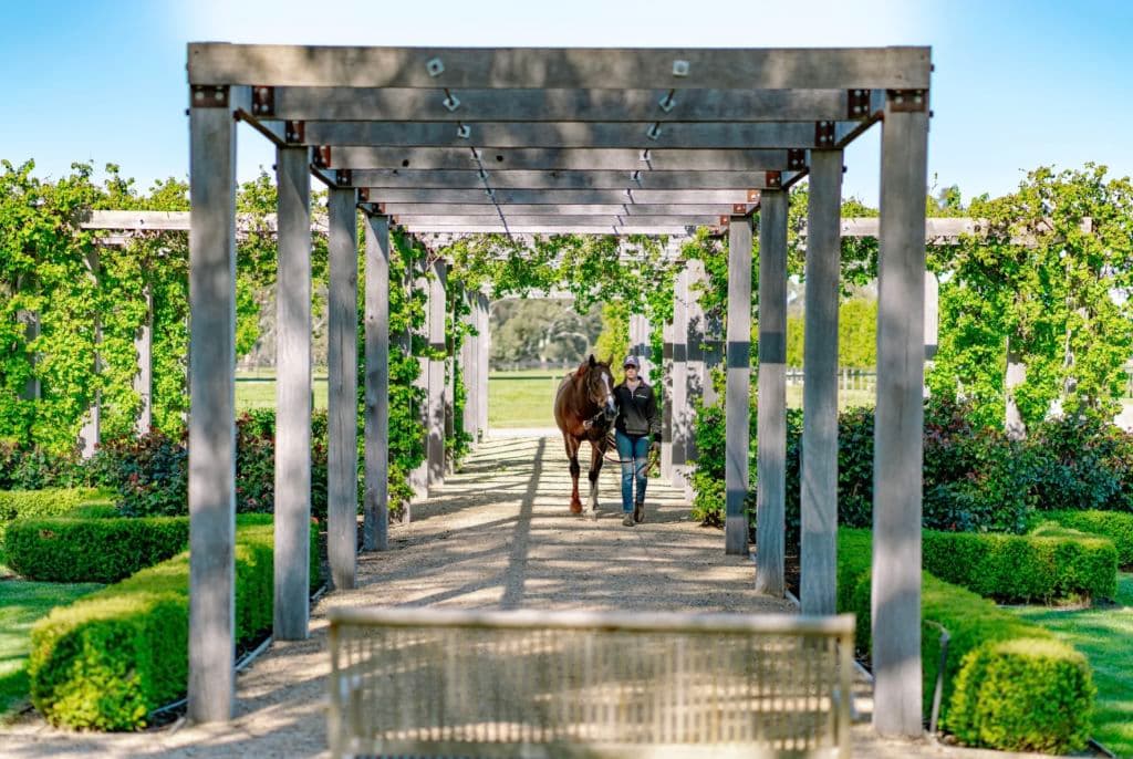 Screenshot_2025-10-29_at_10.44.00_am_ofg2m3