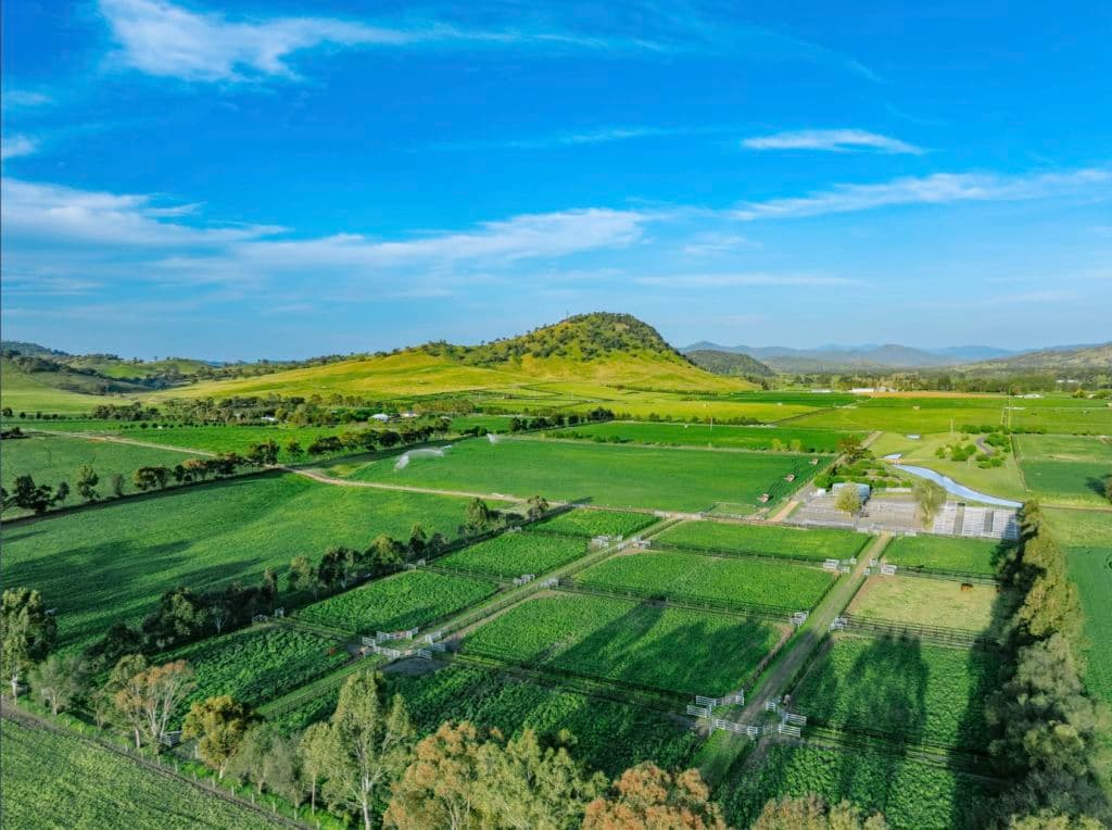 Agritourism is a deliberate diversification strategy for farmers.