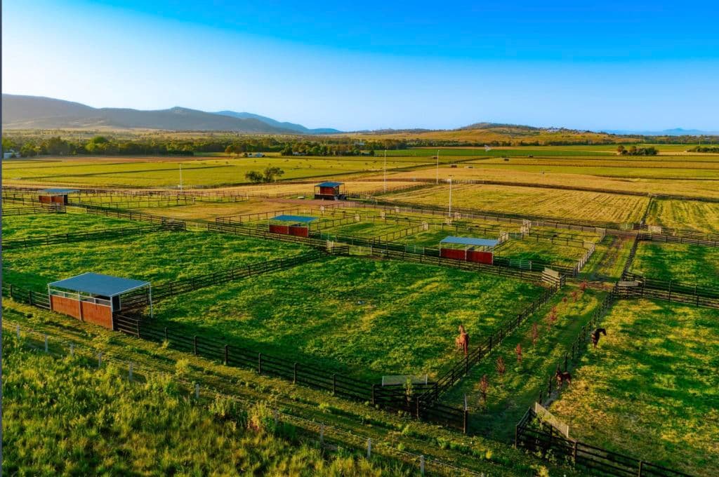 Screenshot_2025-10-31_at_8.10.05_pm_hyw3tp