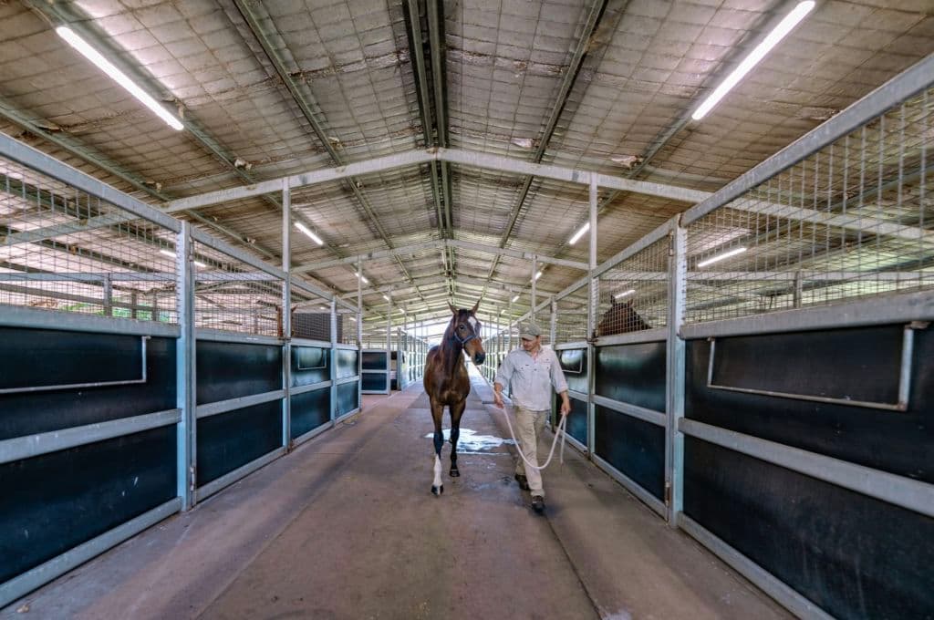 Screenshot_2025-11-07_at_2.51.23_pm_cmywvj