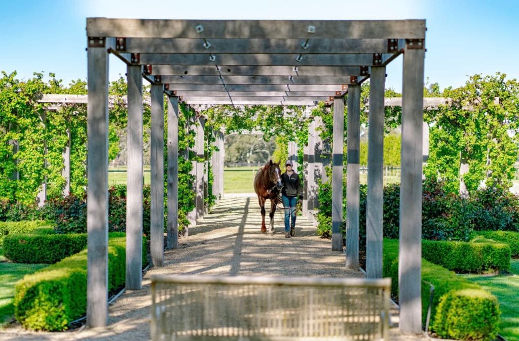 Screenshot_2025-11-07_at_2.50.27_pm_klbp7w