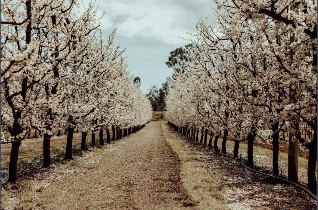 Screenshot_2025-12-02_at_9.26.32_am_jmvbzu