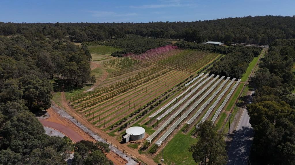 Screenshot_2025-12-02_at_9.26.43_am_oleqtg