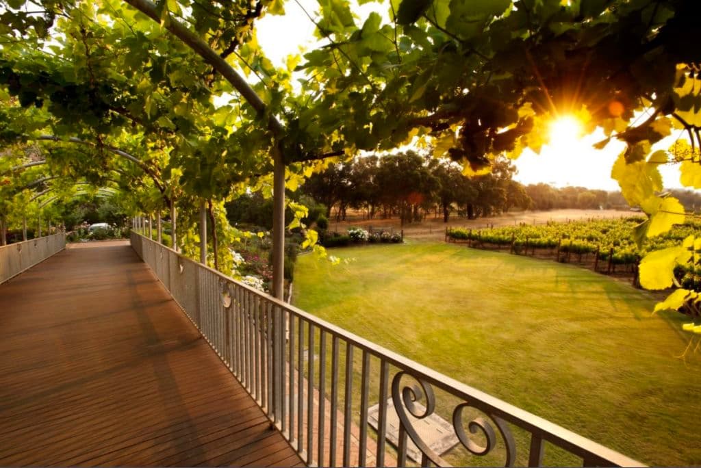 Screenshot_2025-12-05_at_11.22.30_am_hipek9